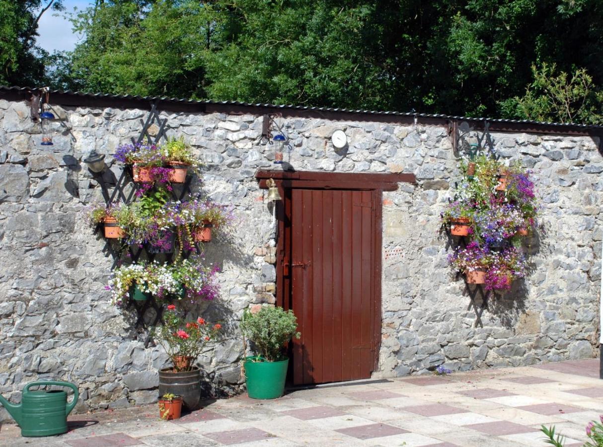 Desart School Garden Chalet Kilkenny Exterior photo